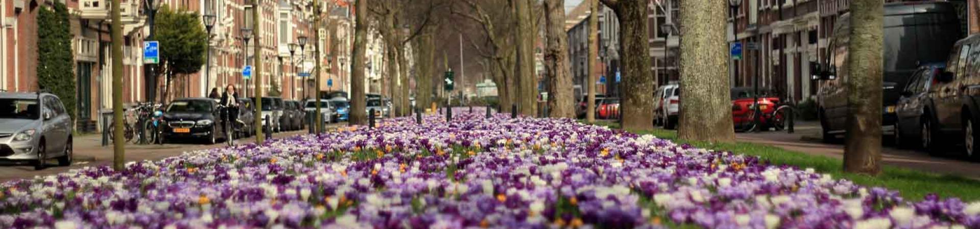 Meer zon, meer inbraken: ons advies voor een veilige lente